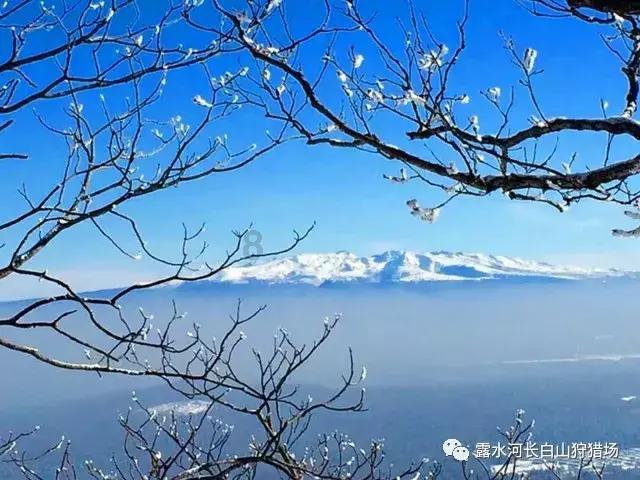 济宁太白湖新区行政审批服务局:提高帮办代办水平 让政务服务贴民心